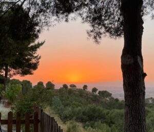 Multiaventura y Centro Hípico El Valle CEEA | La Alberca | Murcia