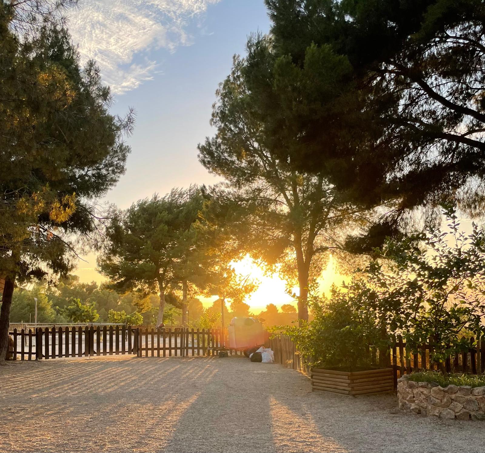 Multiaventura y Centro Hípico El Valle CEEA | La Alberca | Murcia