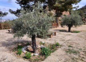 Multiaventura y Centro Hípico El Valle CEEA | La Alberca | Murcia
